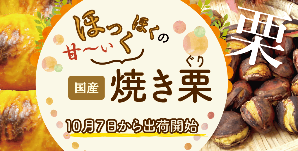 ほっくほくの甘〜い国産焼き栗10月7日から出荷開始